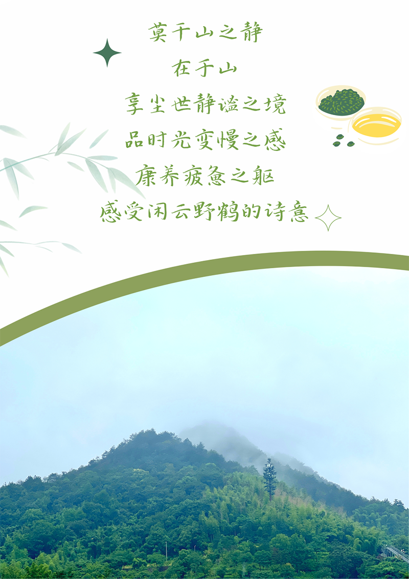 心心念廿 相伴Z6·尊龙凯时 | 与德清相约 贺廿载诞辰