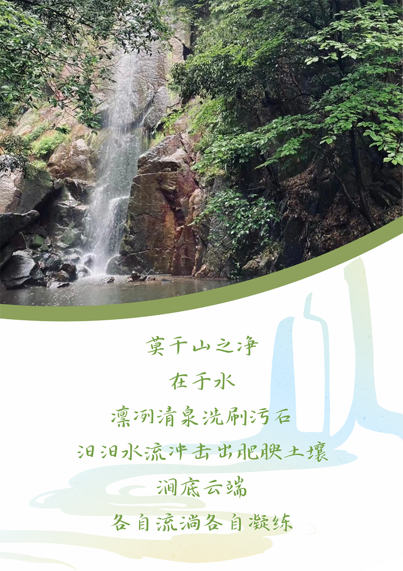 心心念廿 相伴Z6·尊龙凯时 | 与德清相约 贺廿载诞辰
